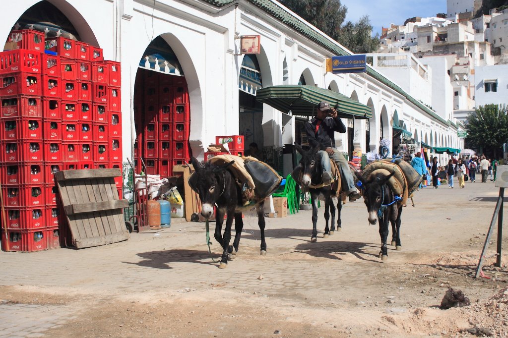 08-Place Moulay Idriss 1er.jpg - Place Moulay Idriss 1er